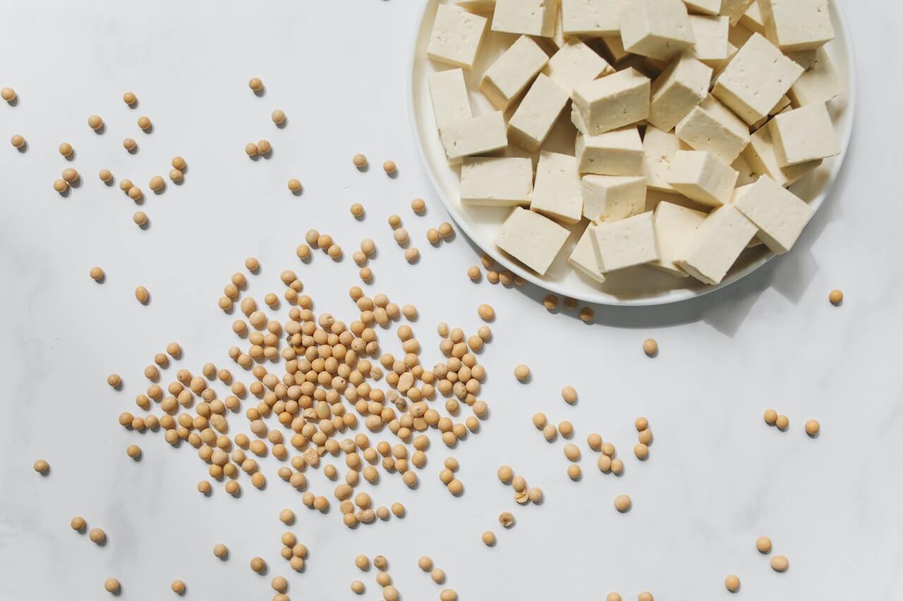 Tofu-on-white-ceramic-plate-near-soybean