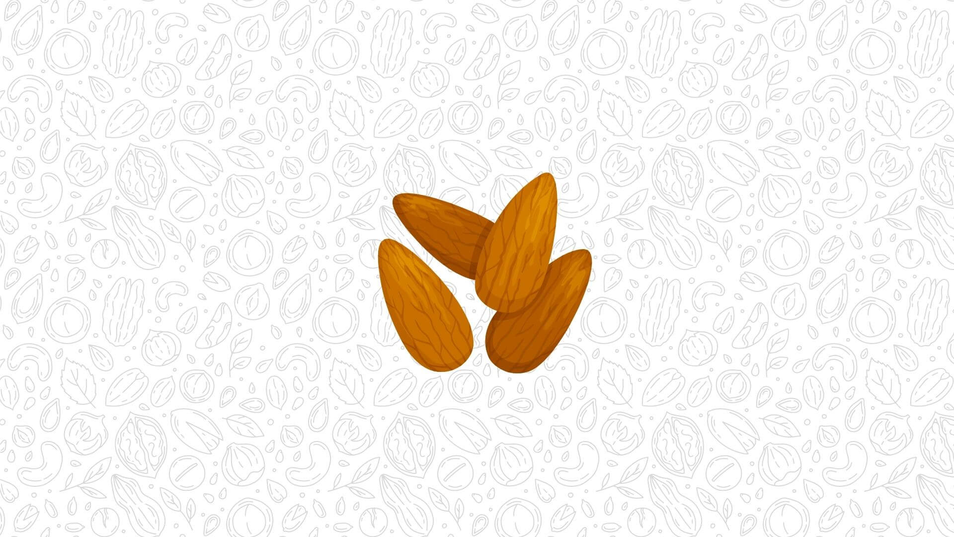 An illustration of three almonds