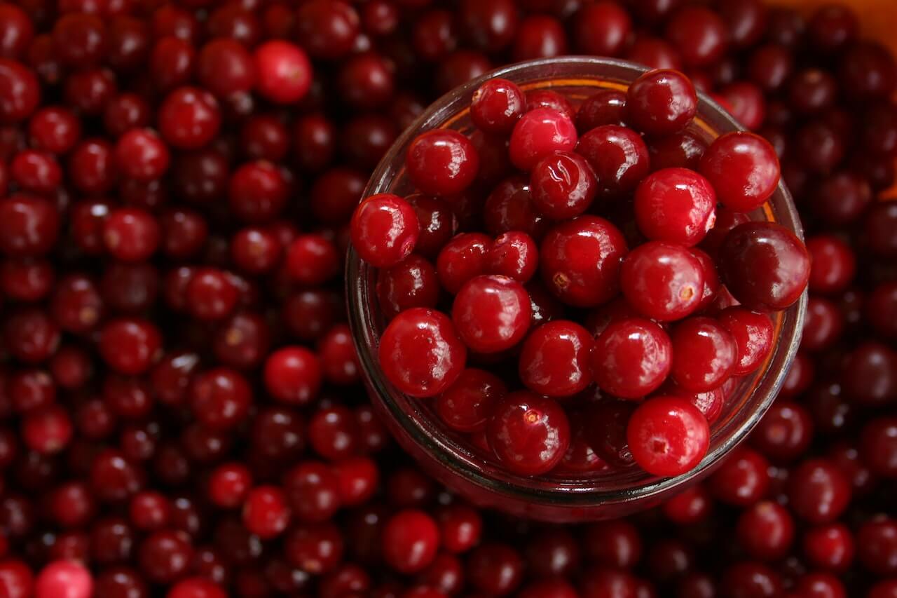 bowl-full-of-cranberry