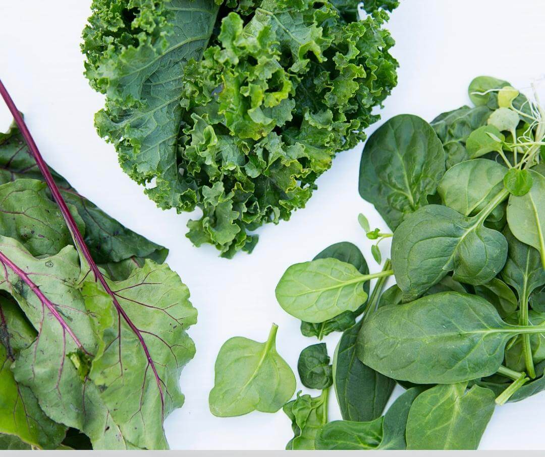 kale, Swiss chard, and spinach leaves