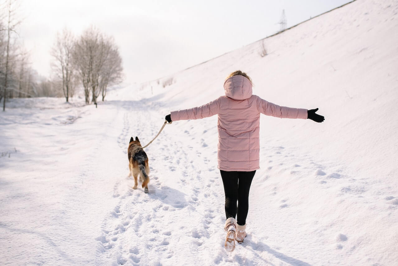 woman-having-a-walk-with-her-dog