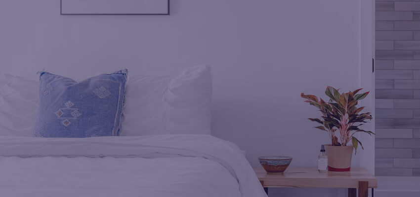 Side table, and plant next to bed with white bedding 