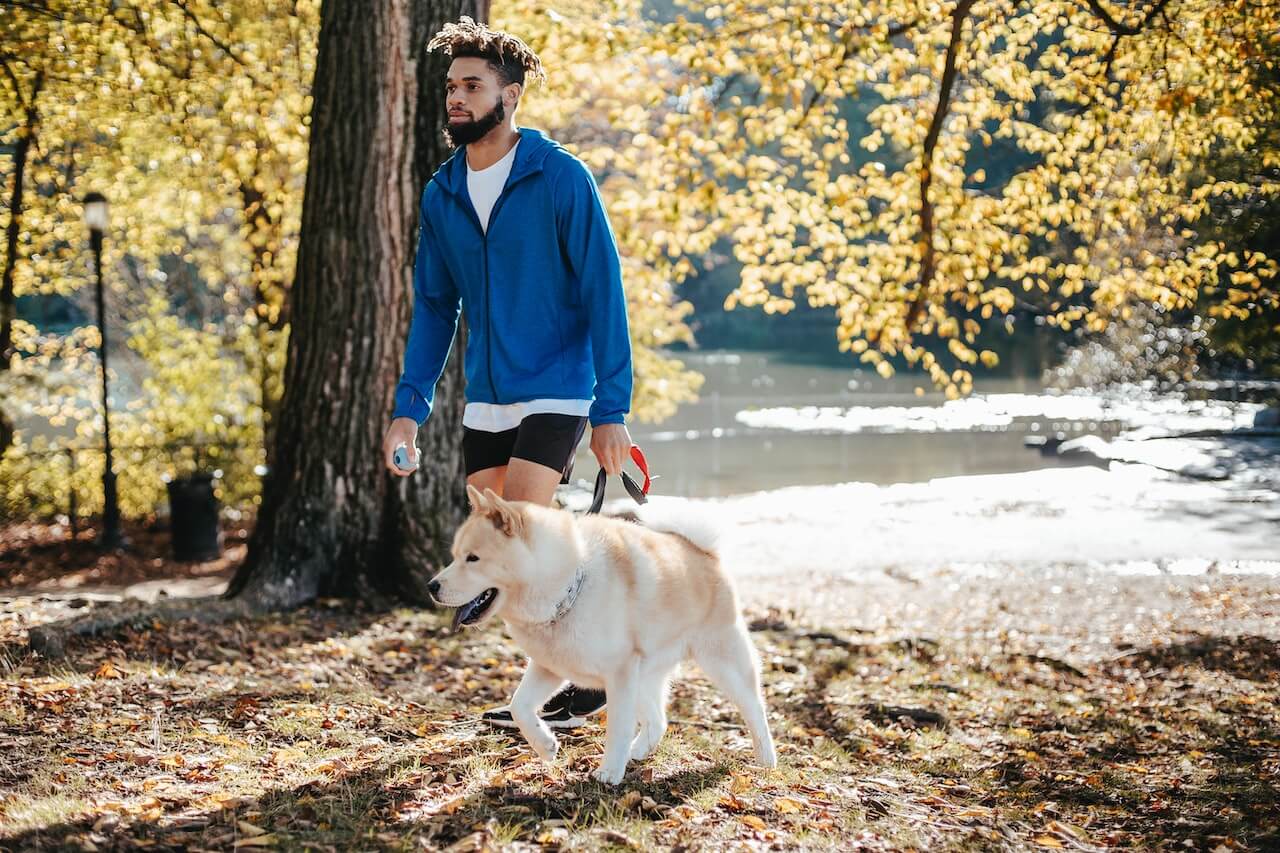 man walking with his dog on a sunny day at the park