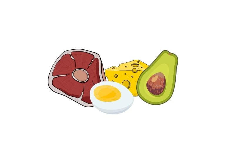 Illustration of mean, hard-boiled egg, cheese, and avocado