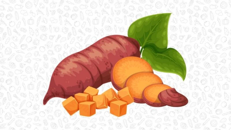 an illustration of sweet potato - sliced, cubed, and whole