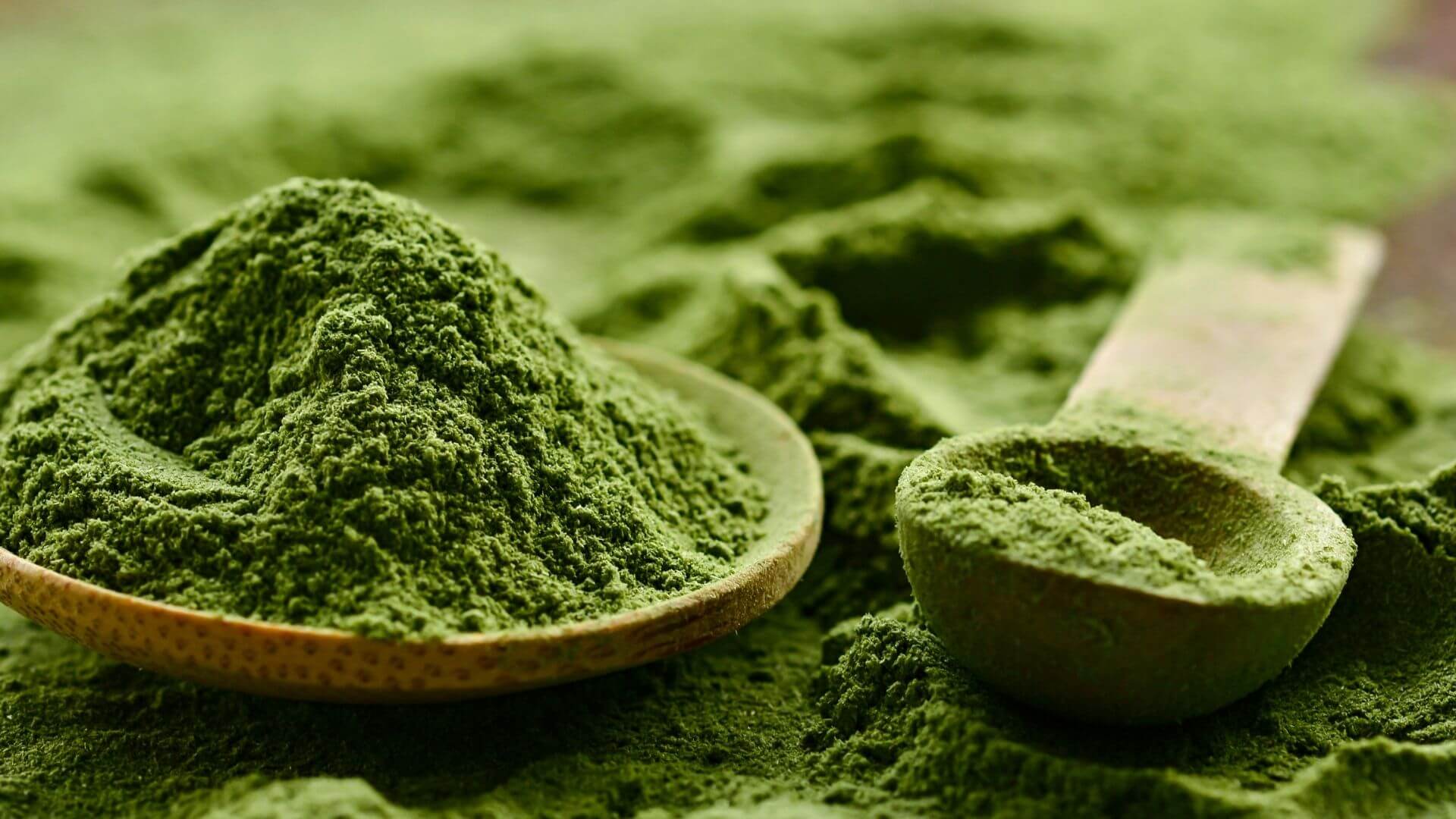 a zoomed-in view of a green powder supplement in a spoon