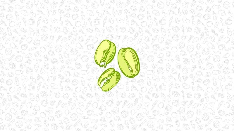 an illustration of three sprouted grains