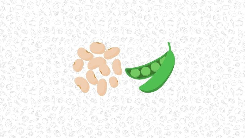 an illustration of white peans and a single pea pod