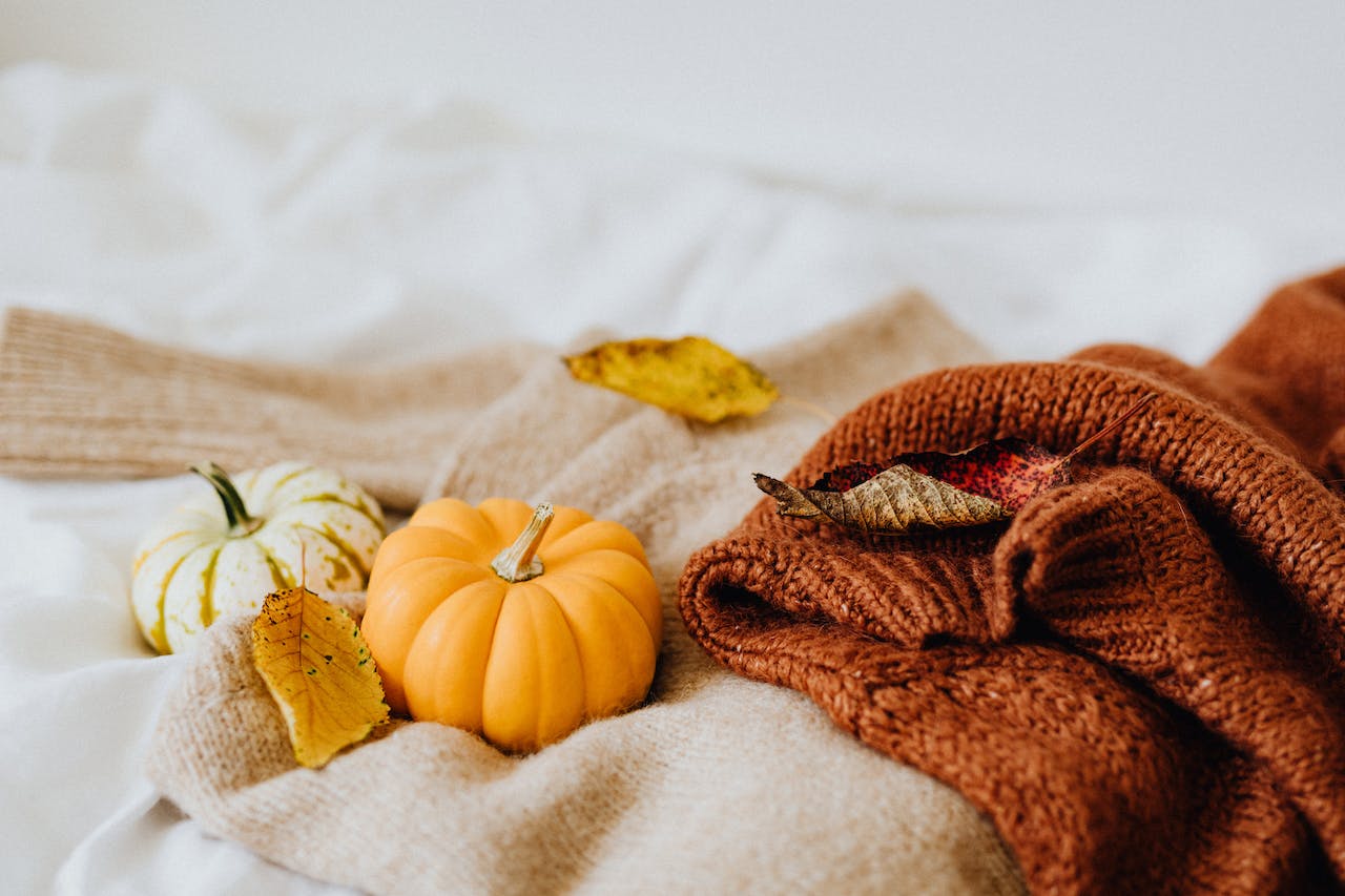 small-pumpkin-on-a-knitted-textile